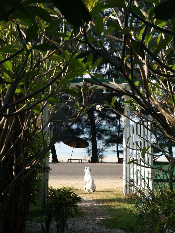 Makmai Villa - Rayong Exteriör bild